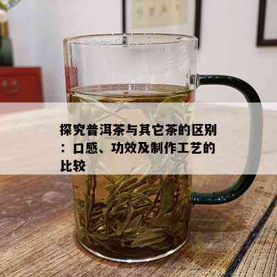 探究普洱茶与其它茶的区别：口感、功效及制作工艺的比较