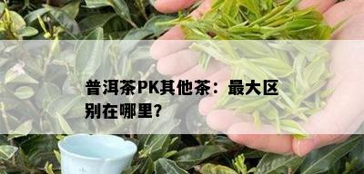 普洱茶PK其他茶：更大区别在哪里？