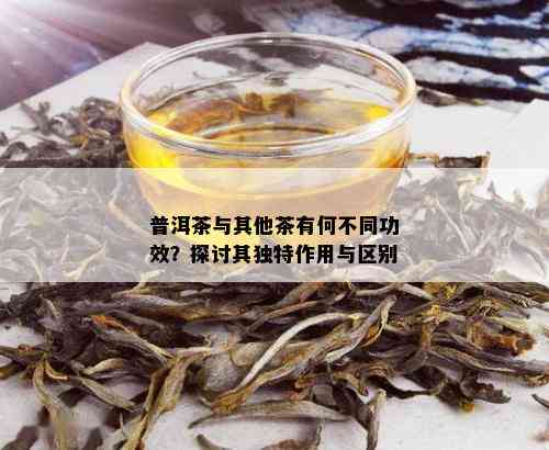 普洱茶与其他茶有何不同功效？探讨其独特作用与区别