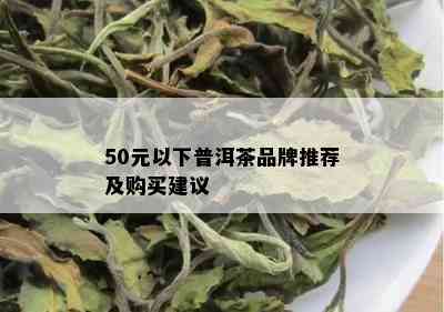 50元以下普洱茶品牌推荐及购买建议