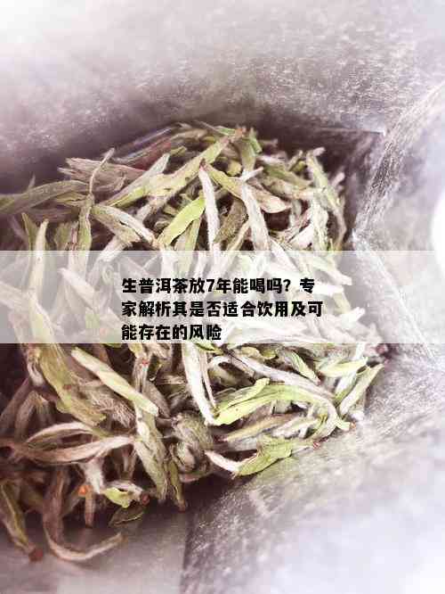 生普洱茶放7年能喝吗？专家解析其是否适合饮用及可能存在的风险