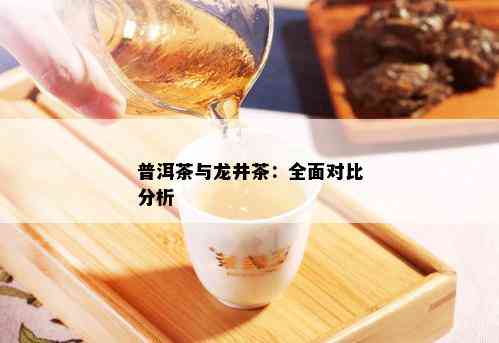 普洱茶与龙井茶：全面对比分析