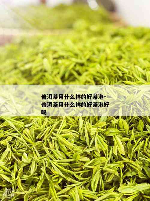 普洱茶用什么样的好茶泡-普洱茶用什么样的好茶泡好喝