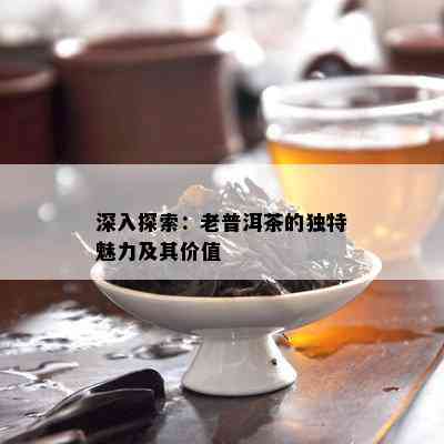 深入探索：老普洱茶的独特魅力及其价值