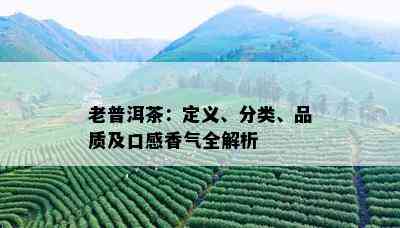 老普洱茶：定义、分类、品质及口感香气全解析