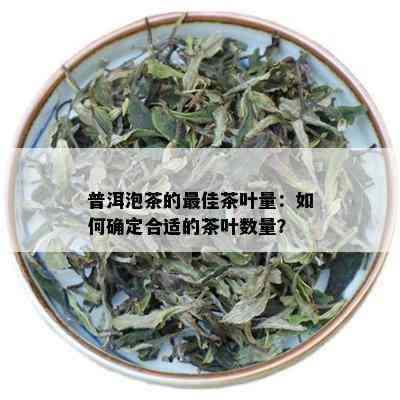 普洱泡茶的更佳茶叶量：如何确定合适的茶叶数量？