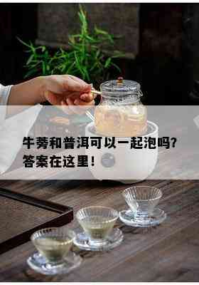 牛蒡和普洱可以一起泡吗？答案在这里！