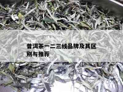 普洱茶一二三线品牌及其区别与推荐