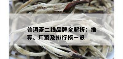 普洱茶二线品牌全解析：推荐、厂家及排行榜一览