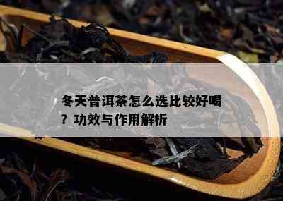 冬天普洱茶怎么选比较好喝？功效与作用解析