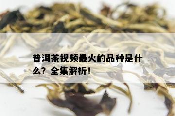 普洱茶视频最火的品种是什么？全集解析！