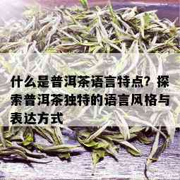 什么是普洱茶语言特点？探索普洱茶独特的语言风格与表达方式