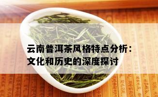 云南普洱茶风格特点分析：文化和历史的深度探讨