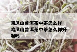 鸣凤山普洱茶中茶怎么样-鸣凤山普洱茶中茶怎么样好喝吗