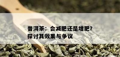 普洱茶：会减肥还是增肥？探讨其效果与争议