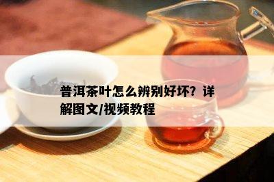 普洱茶叶怎么辨别好坏？详解图文/视频教程