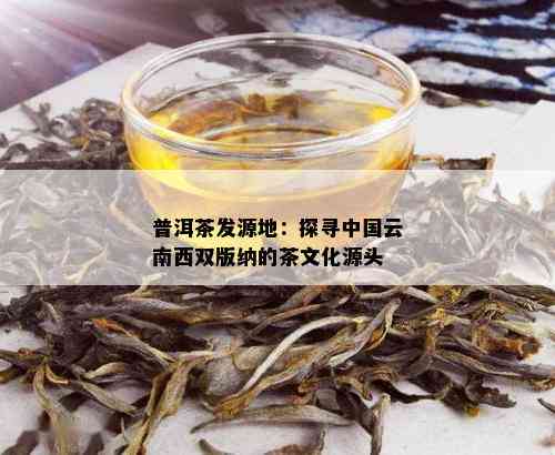 普洱茶发源地：探寻中国云南西双版纳的茶文化源头