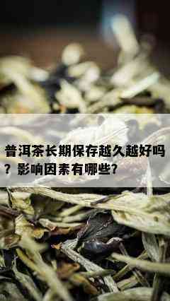 普洱茶长期保存越久越好吗？影响因素有哪些？