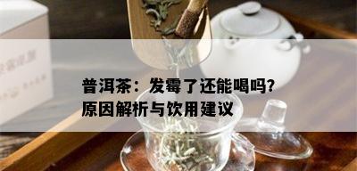 普洱茶：发霉了还能喝吗？原因解析与饮用建议