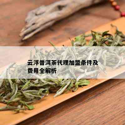 云浮普洱茶代理加盟条件及费用全解析