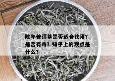 陈年普洱茶是否适合饮用？是否有？知乎上的观点是什么？