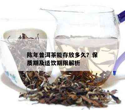 陈年普洱茶能存放多久？保质期及适饮期限解析