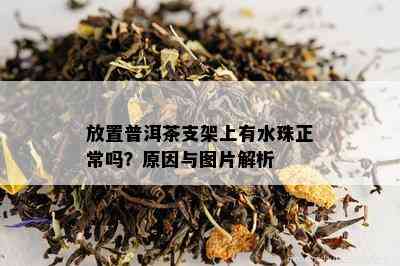 放置普洱茶支架上有水珠正常吗？原因与图片解析