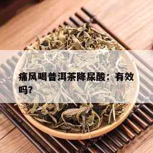 痛风喝普洱茶降尿酸：有效吗？