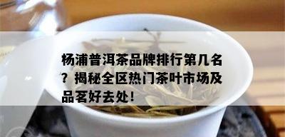 杨浦普洱茶品牌排行第几名？揭秘全区热门茶叶市场及品茗好去处！