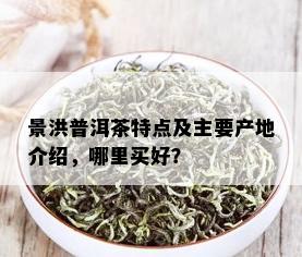 景洪普洱茶特点及主要产地介绍，哪里买好？