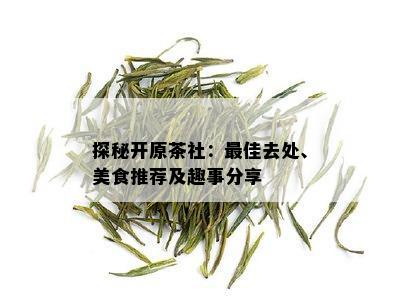 探秘开原茶社：更佳去处、美食推荐及趣事分享