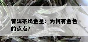 普洱茶出金星：为何有金色的点点？