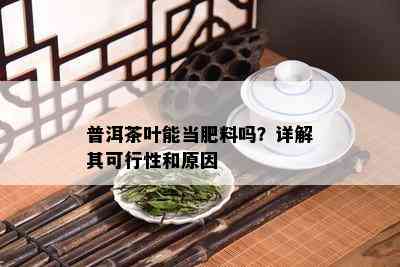 普洱茶叶能当肥料吗？详解其可行性和原因