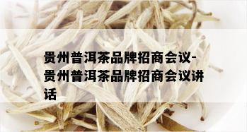 贵州普洱茶品牌招商会议-贵州普洱茶品牌招商会议讲话