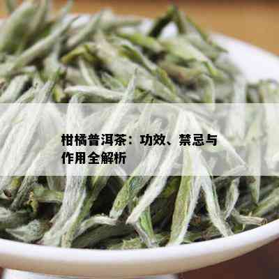 柑橘普洱茶：功效、禁忌与作用全解析