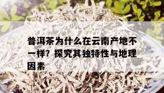 普洱茶为什么在云南产地不一样？探究其独特性与地理因素