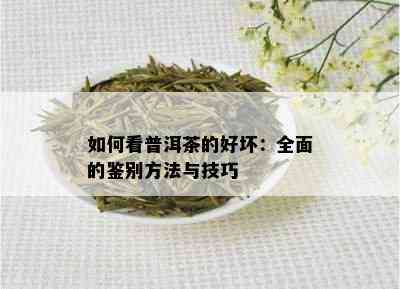 如何看普洱茶的好坏：全面的鉴别方法与技巧