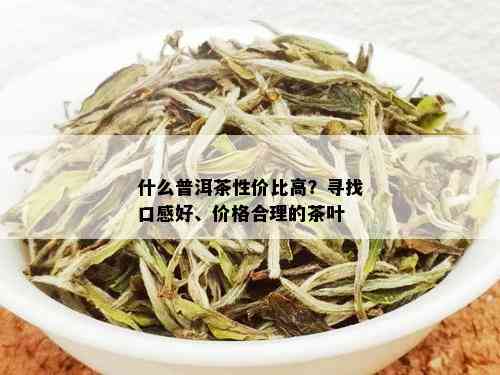 什么普洱茶性价比高？寻找口感好、价格合理的茶叶