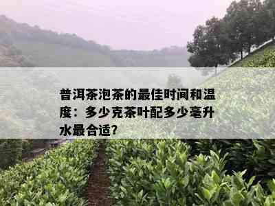 普洱茶泡茶的更佳时间和温度：多少克茶叶配多少毫升水最合适？