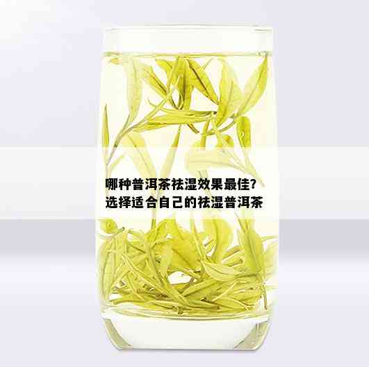 哪种普洱茶祛湿效果更佳？选择适合自己的祛湿普洱茶