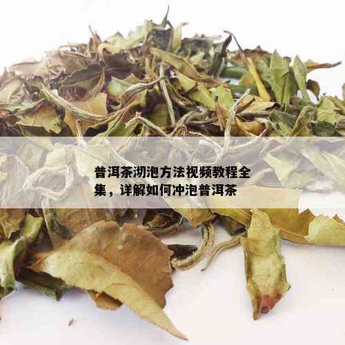 普洱茶沏泡方法视频教程全集，详解如何冲泡普洱茶