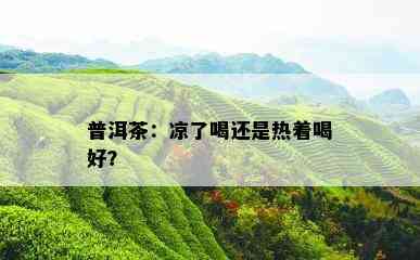 普洱茶：凉了喝还是热着喝好？