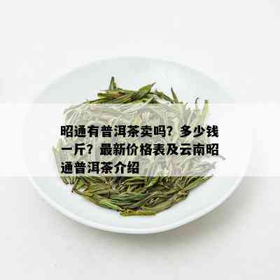 昭通有普洱茶卖吗？多少钱一斤？最新价格表及云南昭通普洱茶介绍