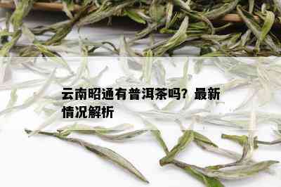 云南昭通有普洱茶吗？最新情况解析