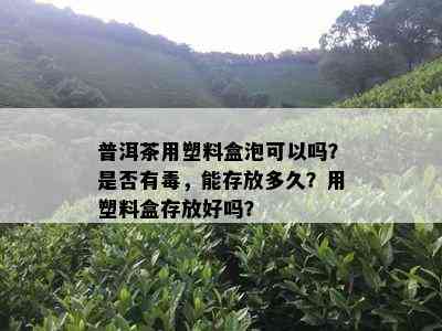 普洱茶用塑料盒泡可以吗？是否有，能存放多久？用塑料盒存放好吗？