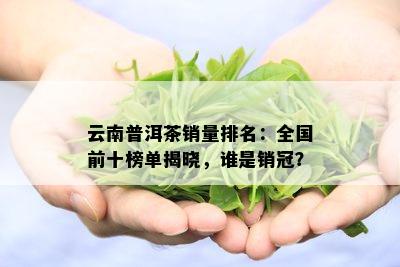 云南普洱茶销量排名：全国前十榜单揭晓，谁是销冠？