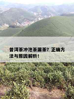 普洱茶冲泡茶漏茶？正确方法与原因解析！