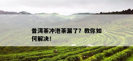 普洱茶冲泡茶漏了？教你如何解决！