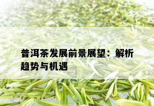 普洱茶发展前景展望：解析趋势与机遇