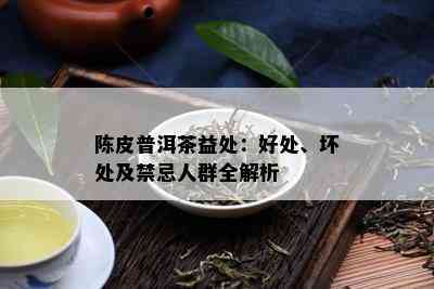 陈皮普洱茶益处：好处、坏处及禁忌人群全解析